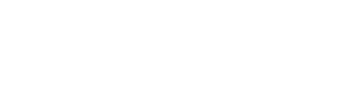 Paia Intelligence Logo